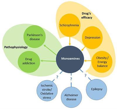 Monoaminergic and Histaminergic Strategies and Treatments in Brain Diseases